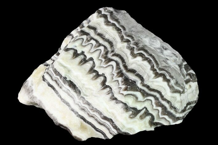 Free-Standing, Banded Zebra Calcite - Mexico #155771